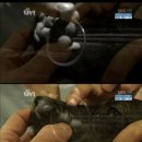 안녕, 멍멍 이미지