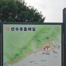 황금을따는마을(영) | 이천 산수유마을 개화 상태 너무 이쁜 산수유 포토존 * 이천 산수유마을