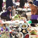 신토불이