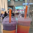 커피숍부르스 | 26.07.03 발리 여행 1-2일차 (바투르산 지프투어, 아카사커피, 우붓 시내 구경, 투키스, 와룽부르스)