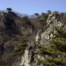 종자산 정상 이미지