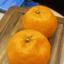 커피앤쓸