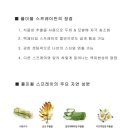 슈퍼프리즈