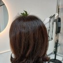 바비헤어 이미지