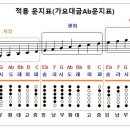 169-나그네설움-가요대금G연주용MR 이미지