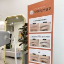 더비비드 이미지