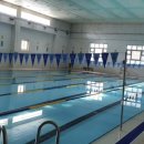 포이초등학교 이미지