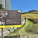 신선대산복로 이미지