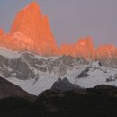 금메달농장 이미지