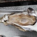 나루터재첩벚굴 이미지