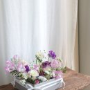 노원-공릉-3253 이미지