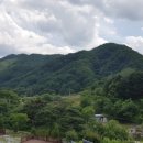 진들농장 이미지