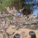 굿헤어 - 남구 신선로 84 | 어린이샴푸 린스 추천! 아토앤오투 굿 키즈 헤어 샴푸 컨디셔너 후기 내돈내산