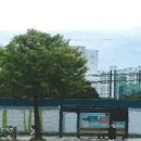 버스정류장 이미지