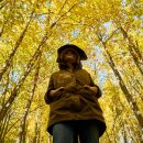 바이오생활 이미지