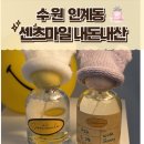 수원시청역 인계동 근처 데이트 향수만들기 센츠마일 후기