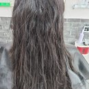 엘리시아헤어 이미지