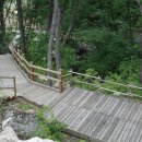 대야산자연휴양림 이미지