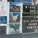 설악동물병원 이미지