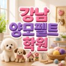 바늘아카데미학원 | 강남양모펠트학원 수강 후기와 작품 포트폴리오, 등록 전 꼭 알아야 할 정보