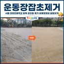 서울미양초등학교 이미지