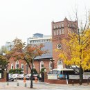 서울시 중구 정동빌딩 Daum카페