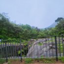 동주와 마실 투어_긴 마실 with 피스 북스, 윤동주문학관, 시낭독, 청운동 산책, 문학여행, 종로문화...