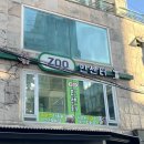 미어캣 | [홍대 동물원] 쥬민센터 미어캣, 뱀, 라쿤 체험 후기