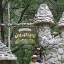 솔내음과 물소리 이미지