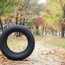 신도시타이어 이미지