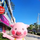 와우축산 이미지