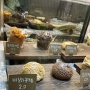 구:움 이미지
