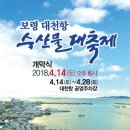 보령시, 2018년 수산물 대축제 개최(뉴스충남) 이미지