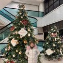 뽑기플렉스 | 가평 켄싱턴리조트 겨울 가족여행 후기(프리미어 플렉스 객실, 4인 가족 기준 솔직 리뷰)