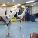 호국태권도체육관 이미지