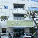 [마리아 병원] 미혼 냉동난자 1년 6개월 지난 후기