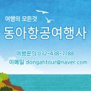 동아항공여행사
