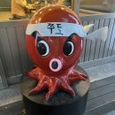 퍼스트힐3차 | (23.12.04~23.12.10)12월일상/알콜일상/먹부림일상/땅콩이/체험단
