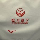 한국지엠사천바로서비스 | [장가계 직항 사천항공 탑승 솔직후기] 기내식, 수하물, 좌석 명당 꿀팁 정리(인천-장가계)