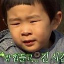조개섬 이미지