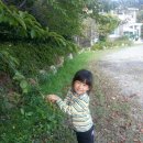 시현민박 이미지