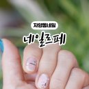 네일르페 이미지