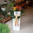 천지호사우나 이미지