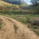 호두부동산공인중개사사무소 이미지