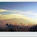 무주읍106 이미지