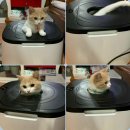 바디닥터 대전탄방점 이미지