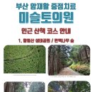 미슬토부산센터