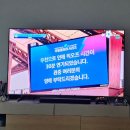 내한투어