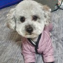 무브멍트 이미지