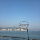 키오스크 어렵지 않아요 | 애견동반 제주도 여행 완도항에서 한일고속 골드스텔라 펫룸 자유석 이용후기